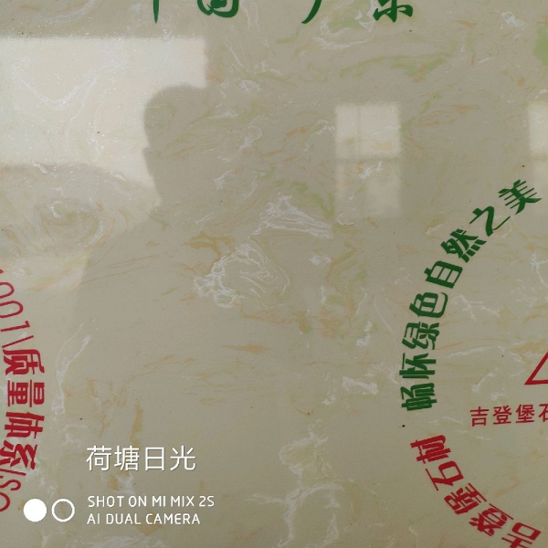 荷塘日光