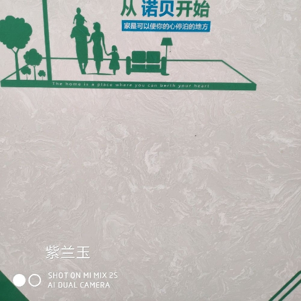 紫玉兰