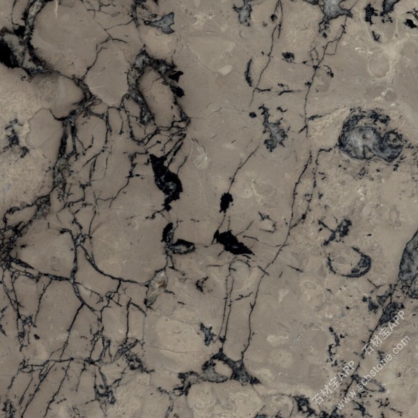 威尼斯灰(灰太狼)