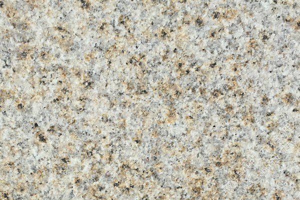 黄绣大黄荔枝面