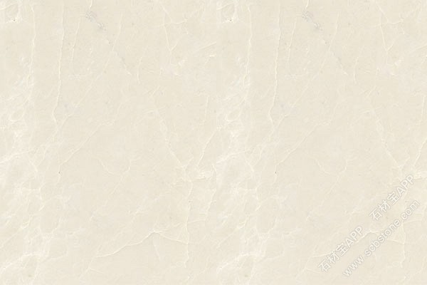 白玉兰