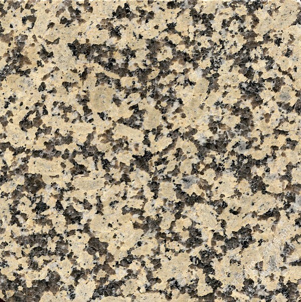 加多利金2号光面