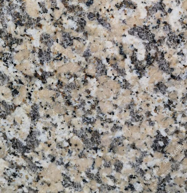 沙漠白钻(金色玫瑰)A3