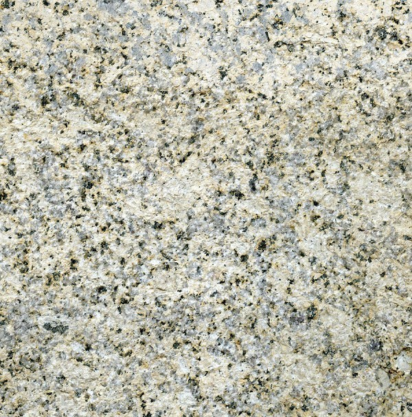 海底金钻荔枝面