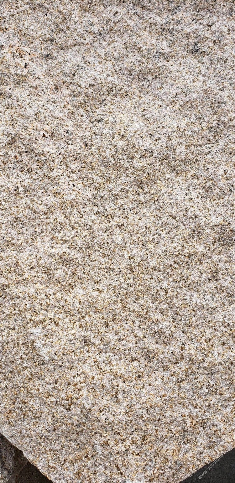 诏安锈石荔枝面