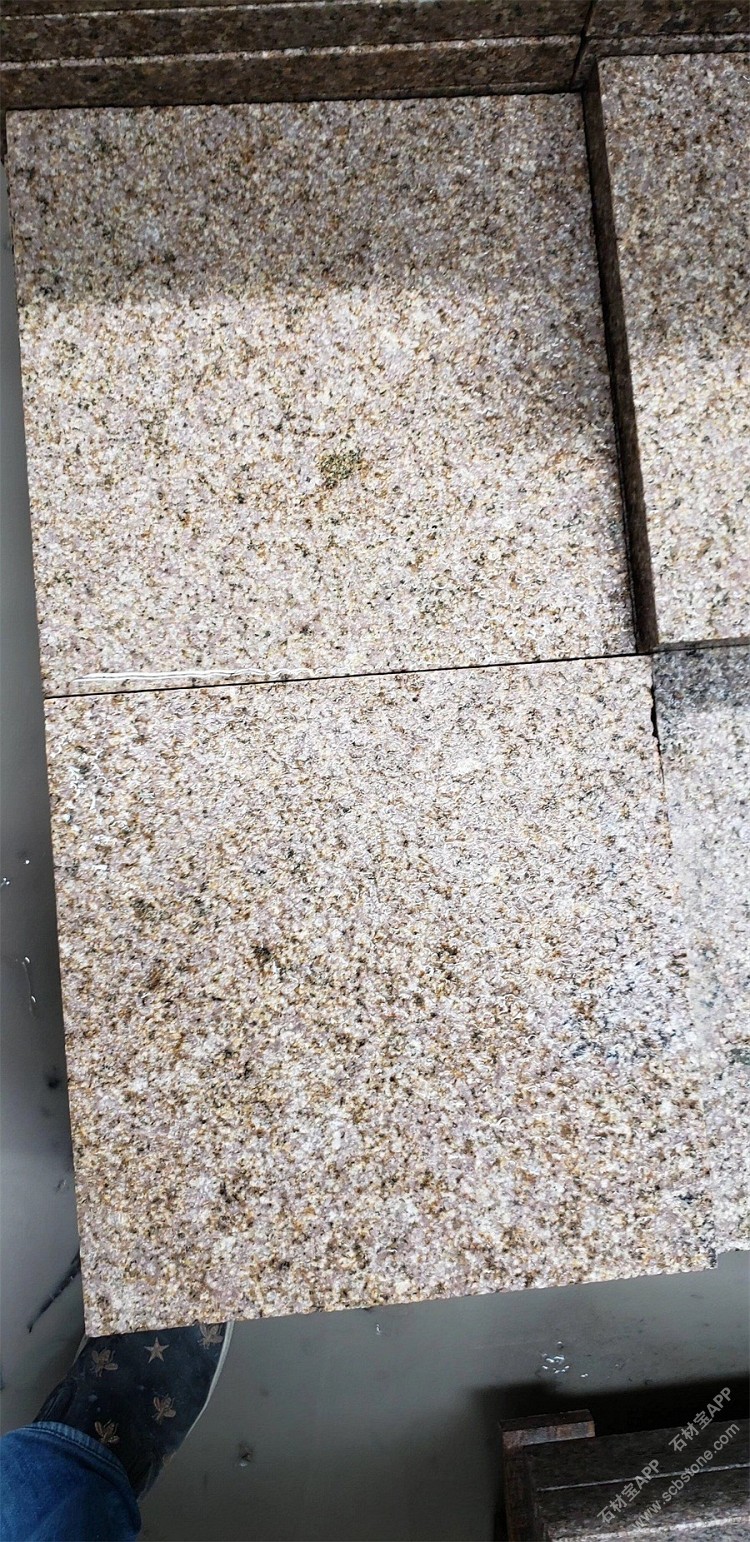 诏安锈石荔枝面