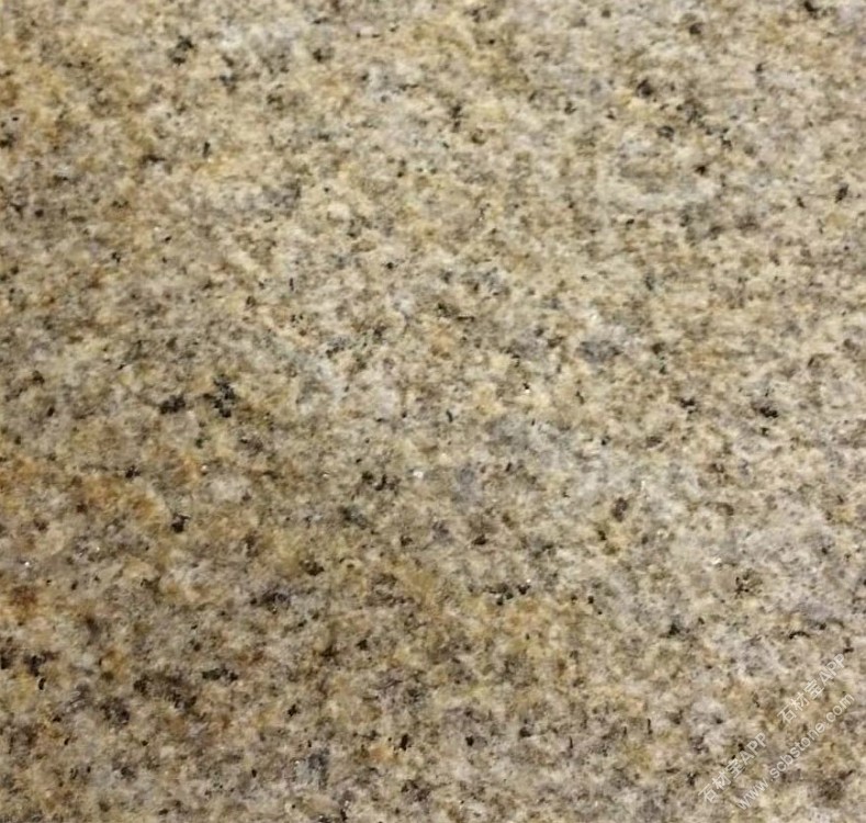 山东锈石荔枝面