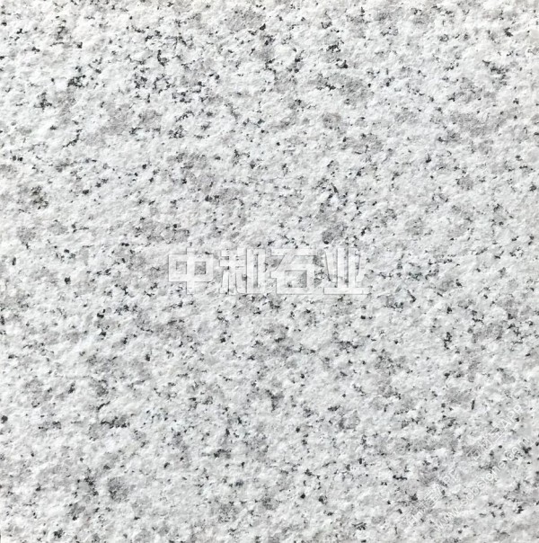 山东白麻荔枝面