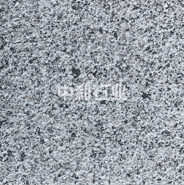 山东灰麻荔枝面