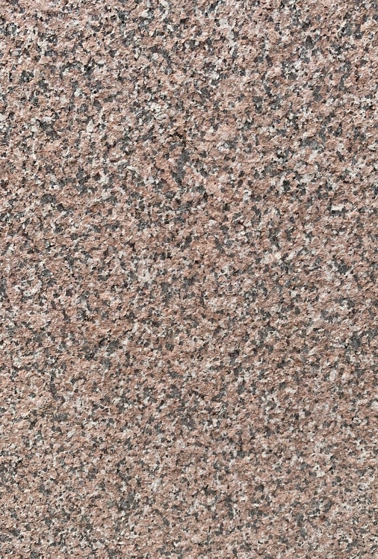 石岛红新8号火烧面