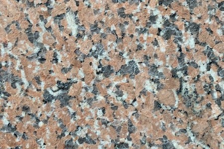 石岛红老8号光面