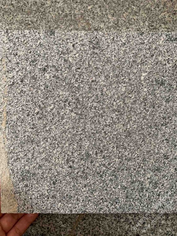 新矿芝麻黑G654火烧面