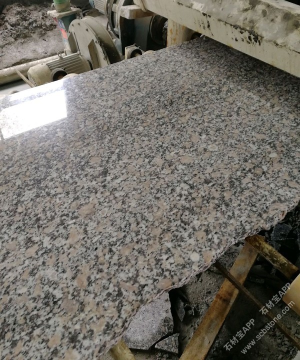 河南梨花红毛光板批发