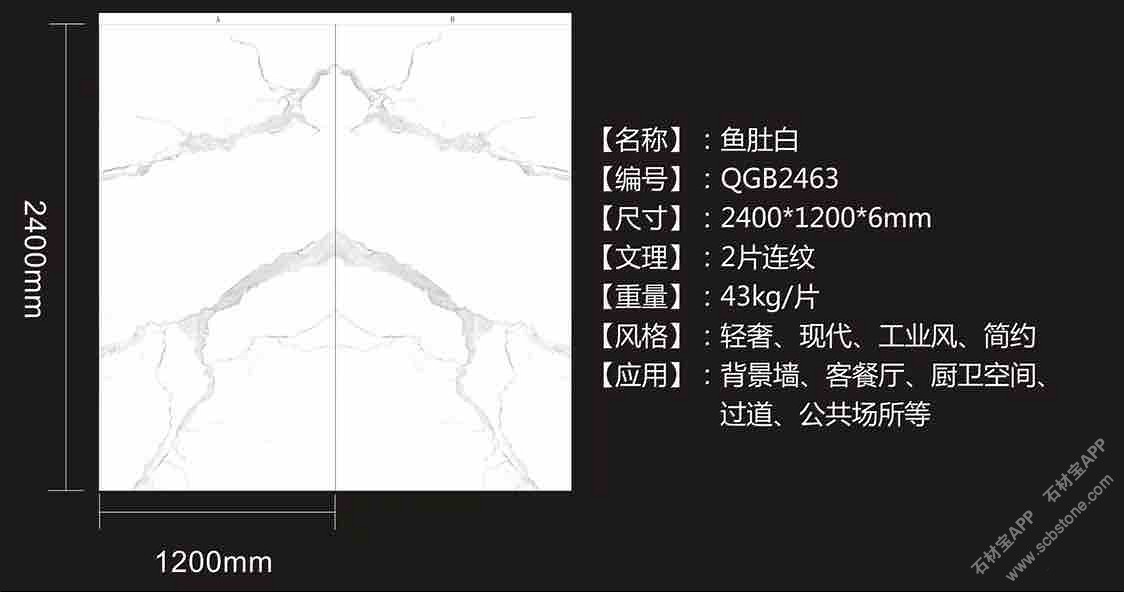 意大利·鱼肚白