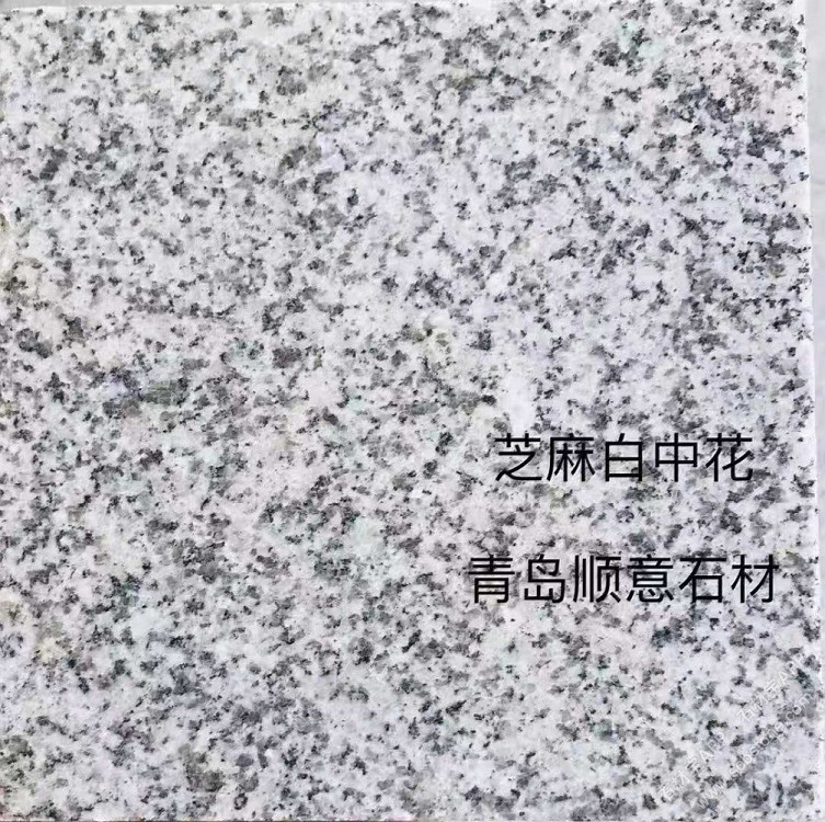 山东芝麻白(中花)