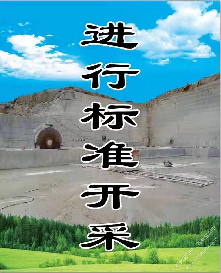 进行标准开采