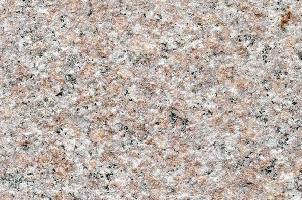 五莲红(荔枝面)