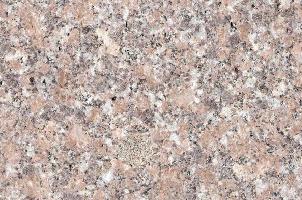 五莲红(火烧面)