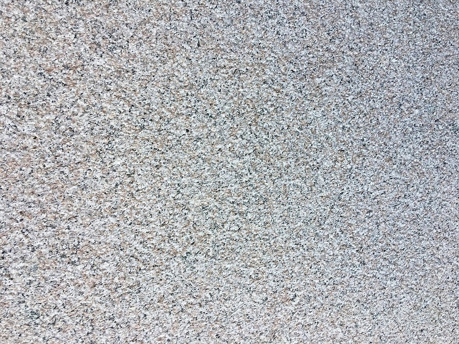 泉州红G617荔枝面