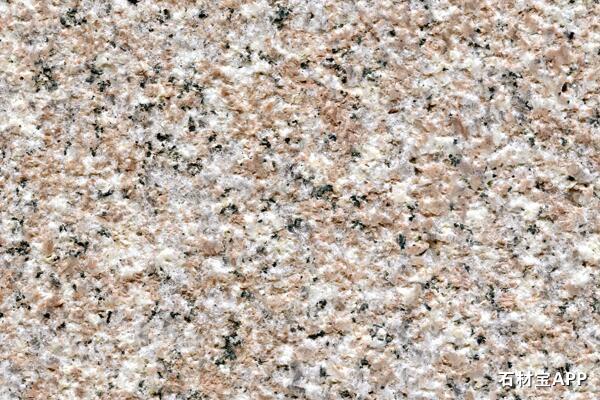 G648漳浦红荔枝面