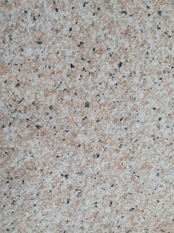 莎莉仕红(荔枝面)