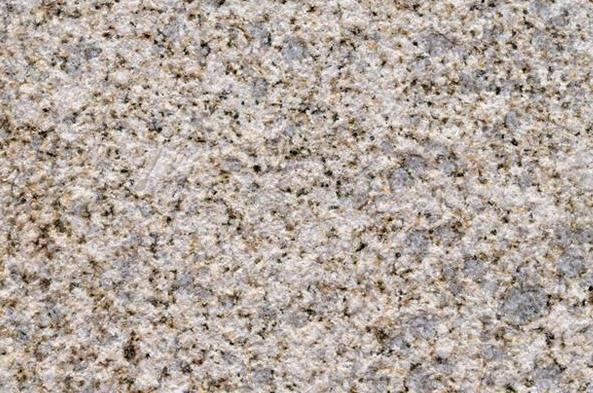 河南黄金麻荔枝面