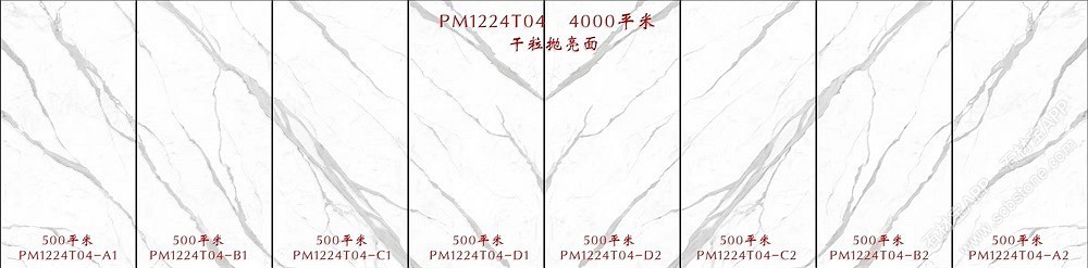 鱼肚白PM1224T04