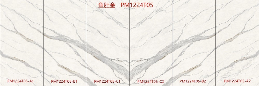 鱼肚金PM1224T05