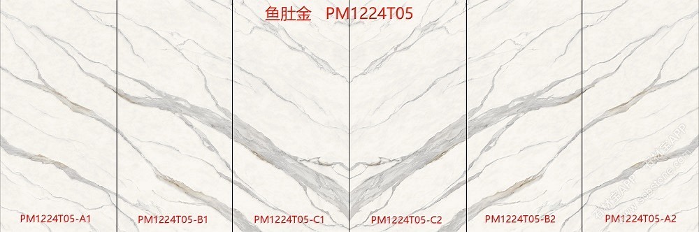 鱼肚金PM1224T05