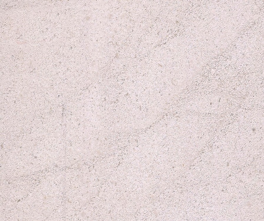 伊丽莎白(莱姆石)