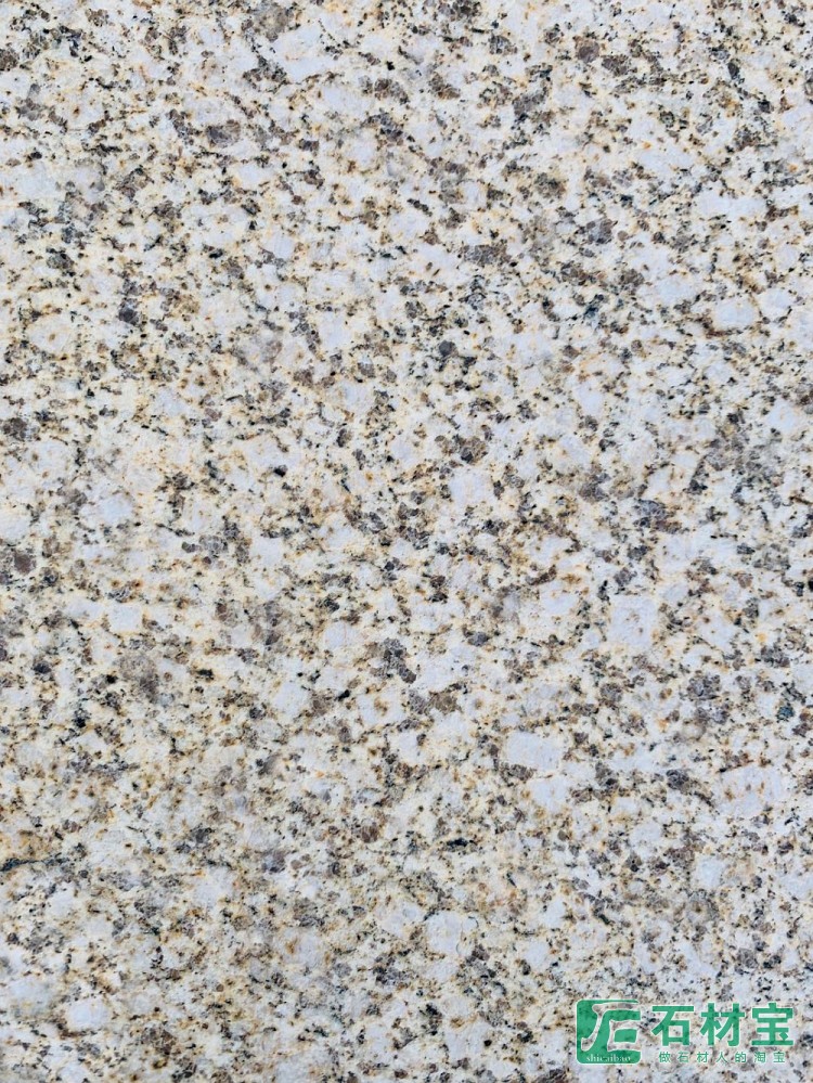 黄金钻中黄光面