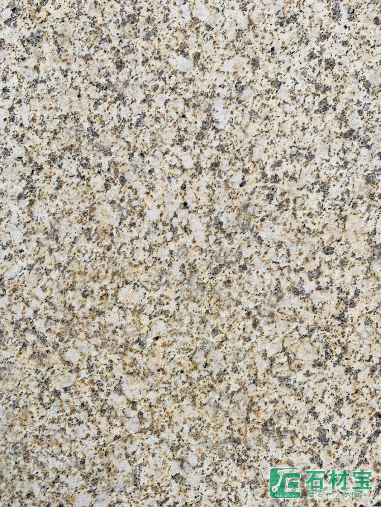 黄金钻大黄光面