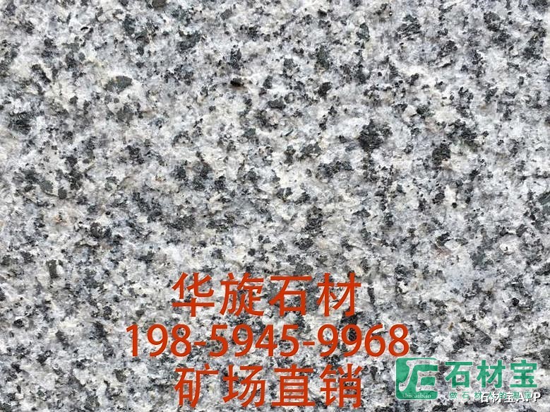 芝麻灰G655火烧面