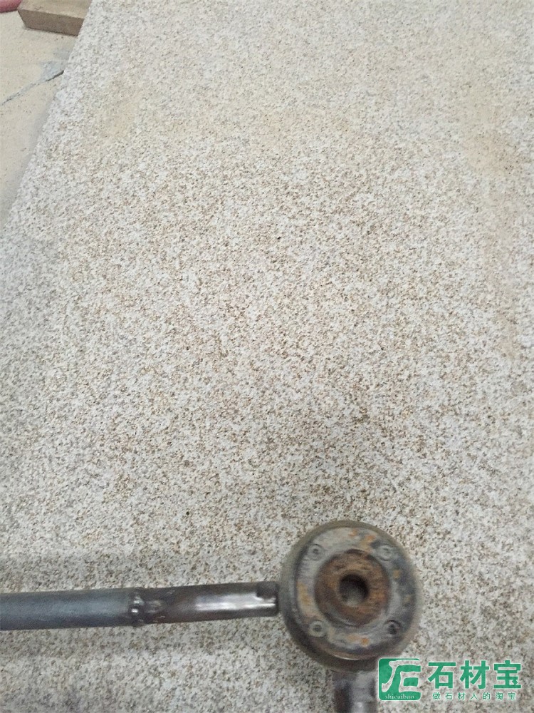 黄金麻荔枝面
