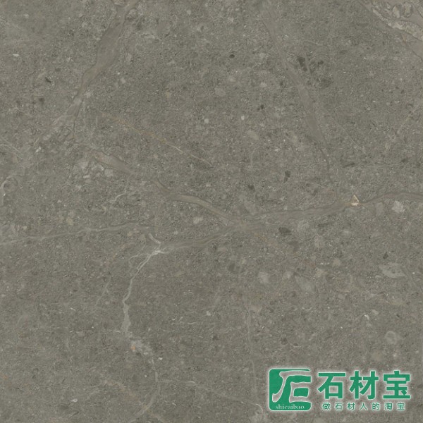 ZYDGM26006M金线西西里