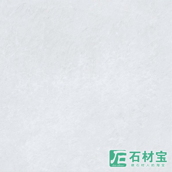 ZYDG26009M/L柏利白