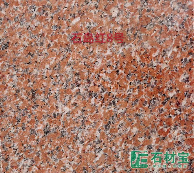 石岛红老8