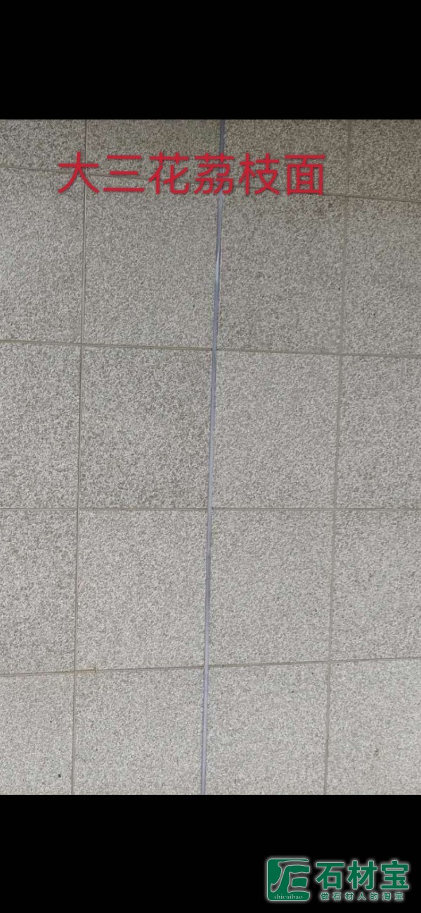 大三花荔枝面上墙