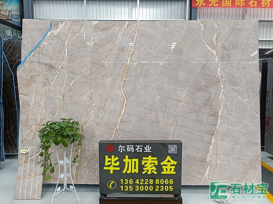 毕加索金
