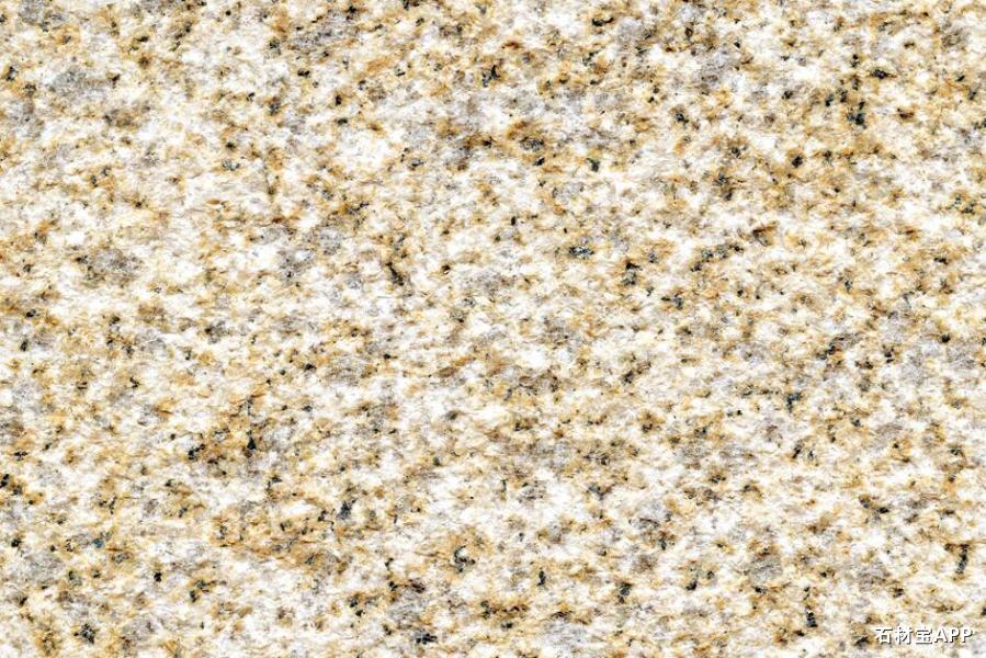 黄金麻(大黄)荔枝面