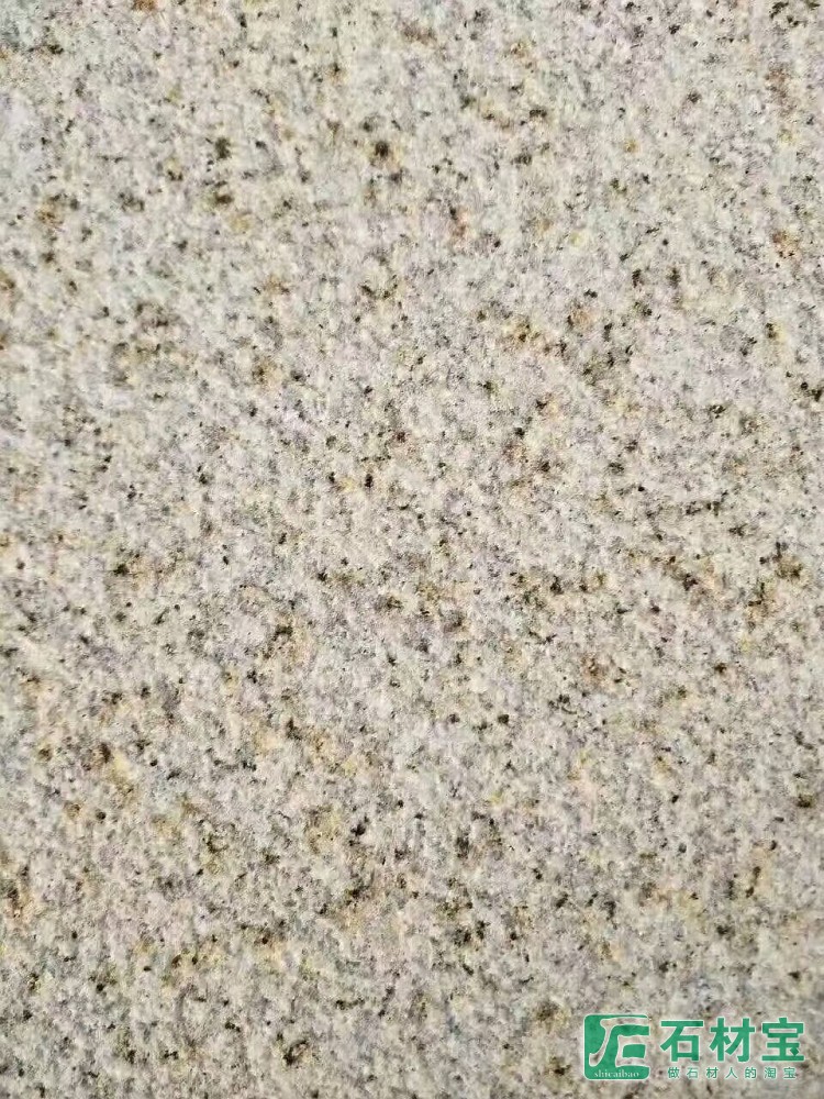 山东锈石荔枝面