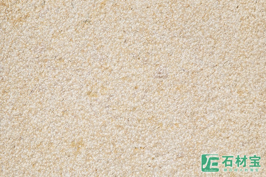 金龙米黄荔枝面