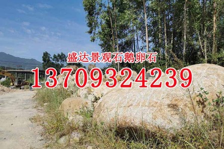 鹅卵石 景观石 福州天然石材 优质大型景观石