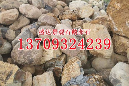 鹅卵石 景观石 漳州天然石材 大型景观石批发 观赏石 黄蜡石