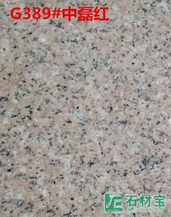 G389中磊红