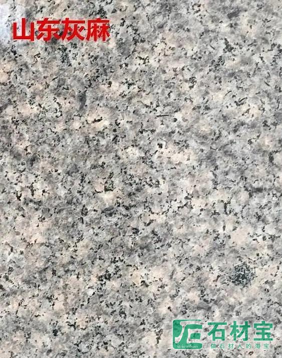 山东灰麻