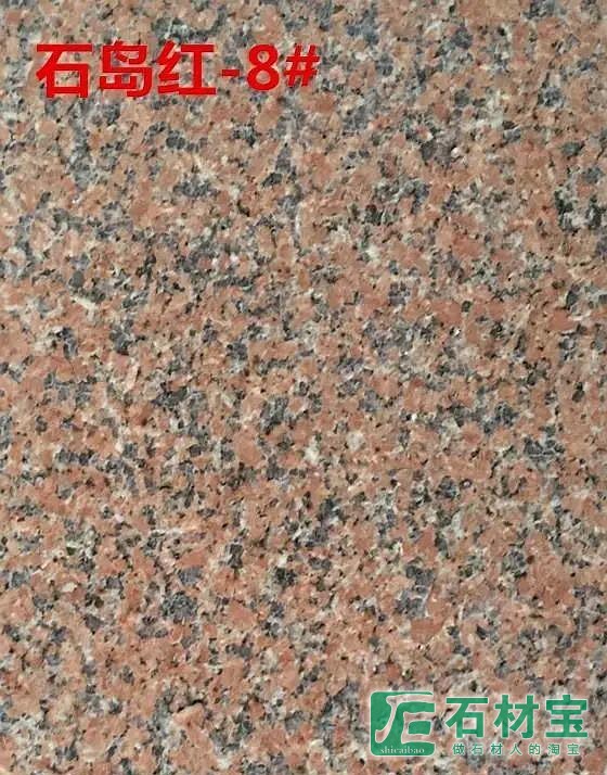 石岛红8号