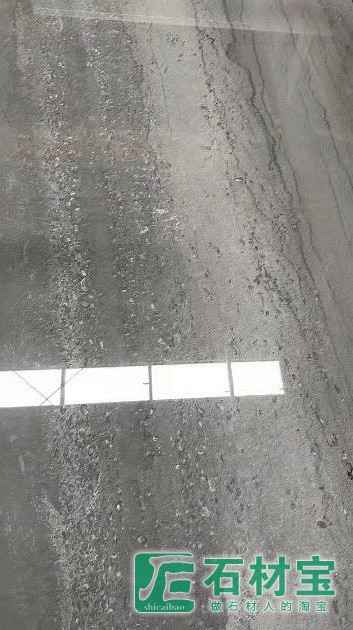 0°海岸线灰