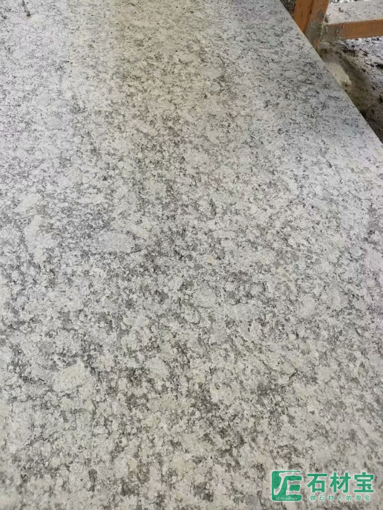 浪花白(海浪花)