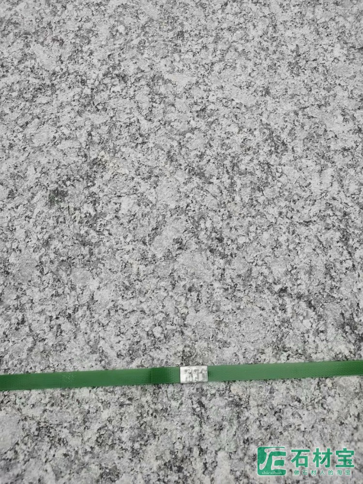 浪花白(海浪花)